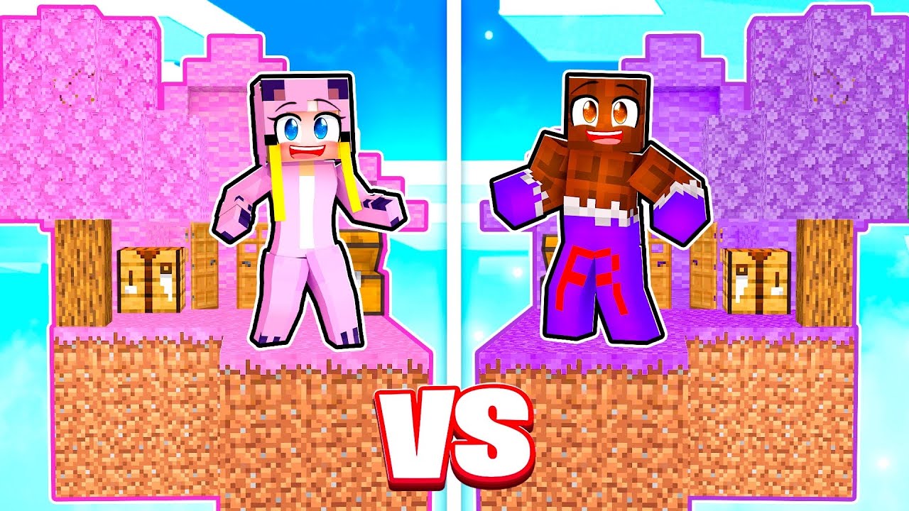 ROSA INSEL vs. LILA INSEL! ✿ Minecraft