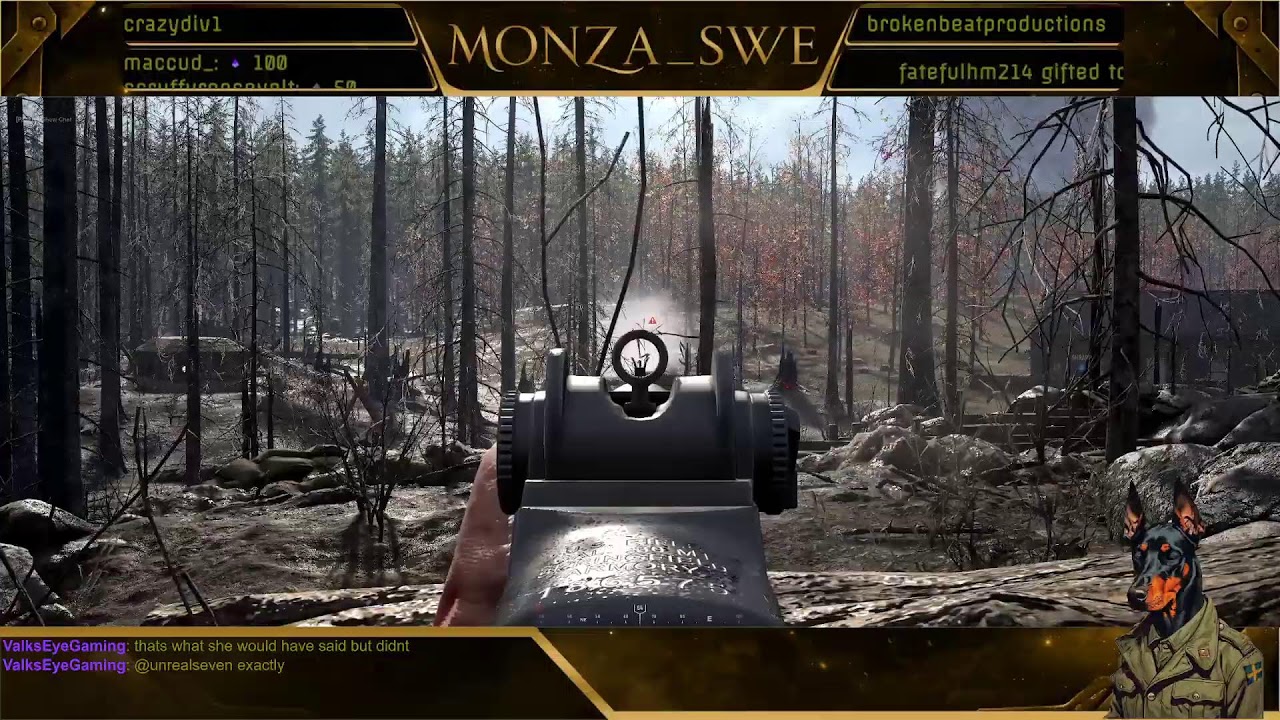 Hell let loose |  Weekend Warrior lvl 310+