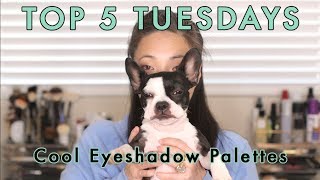TOP 5 TUESDAYS - Cool Eyeshadow Palettes screenshot 2