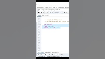 OR Operator Query Example