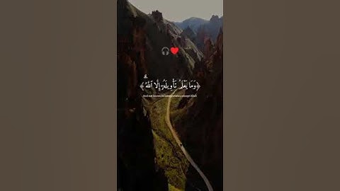 قرآن كريم بصوت يقشعر له الأبدان |#عبدالرحمن_مسعد #تلاوة_خاشعة #قرآن #الله #اكسبلور #لايك #راحة_نفسية