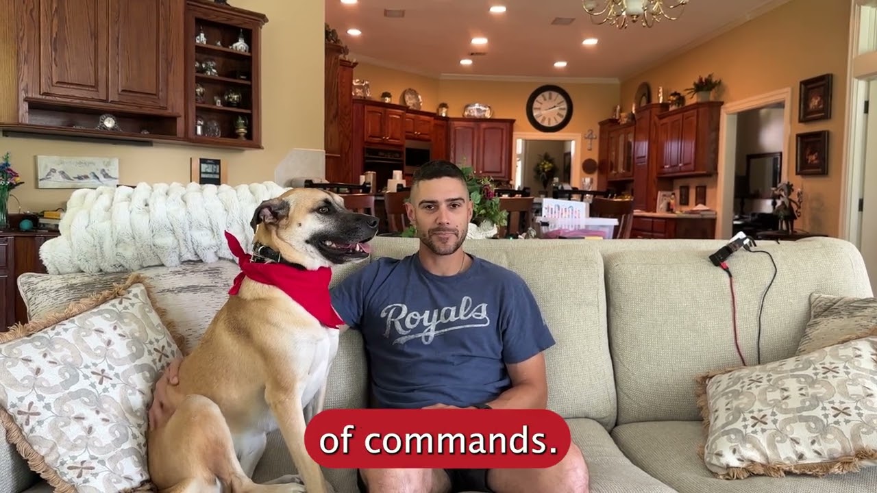 Broken Arrow Dog Training | Client Testimonial | Mixed Breed | "They Have Options For Everybody"