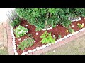 idea para hacer jardin pequeño sin gastar mucho dinero