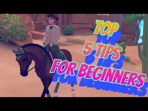 Top 5 tips you need to know if you are new to Equestrian the game [ETG E10]