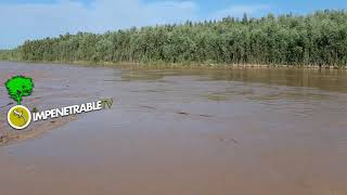 EL RIO BERMEJO EN PUERTO LAVALLE CHACO- 25 01 21