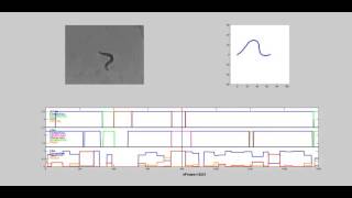 wormAnnotationCompare
