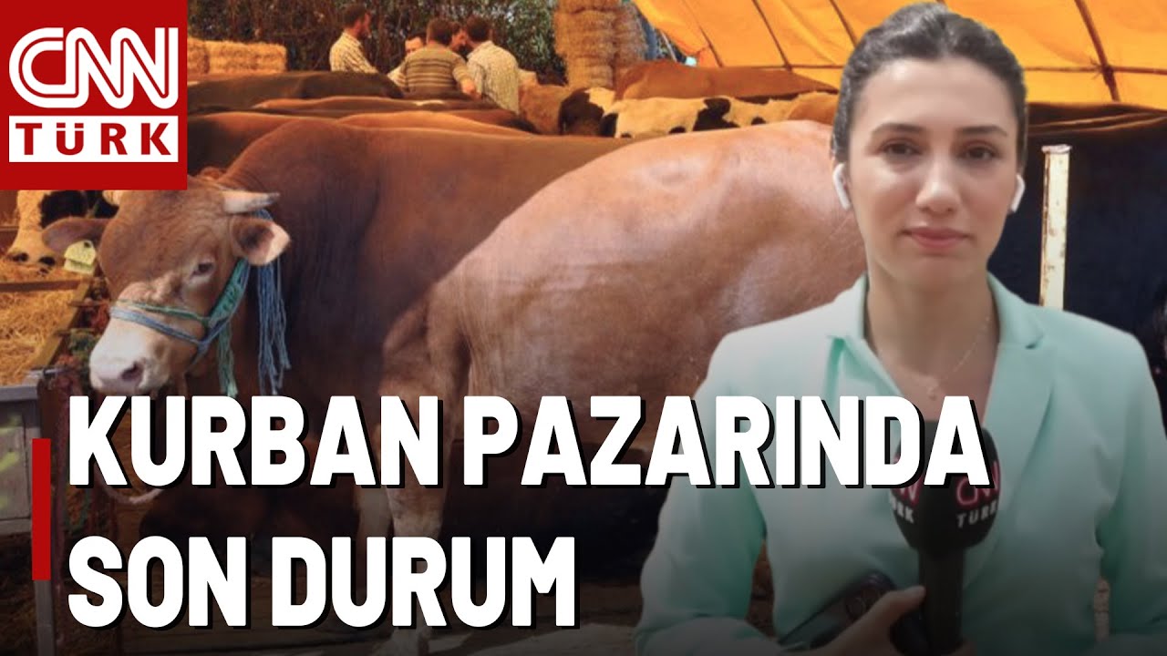 Arife Günü Kurban Pazarı Yoğun Mu? Kurban Fiyatında Arife İndirimi Var Mı?