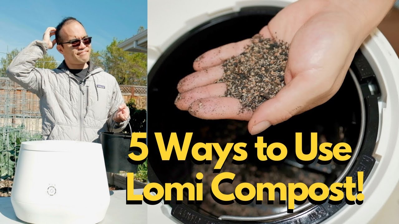 Compost Shredder: How to Use, Types, Benefits & More – Lomi