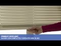 Mini Blinds- Blinds.com 1" Cordless Mini Blind Product Spotlight