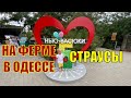 VLOG: ЭТНОПАРК НЬЮ ВАСЮКИ / СТРАУСИНАЯ ФЕРМА ПОД ОДЕССОЙ ГДЕ МОЖНО ПОЖАРИТЬ ШАШЛЫК / ЗООПАРК 2020