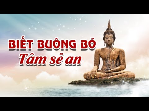 Video: Ch� cao cấp đ� sống một nửa cuộc sống của m�nh trong nơi tr� ẩn; B�y giờ c� ấy c� cơ hội hạnh ph�c