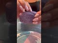 ASMR Purple Lux Soap 🧼 #asmr #justsoaps #satisfying #asmrsoap #асмрsoap #soap