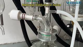 See How Molecular Distillation Works | 6” Wiped Film System in Action
