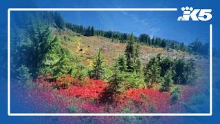 Still weeks away from peak fall colors