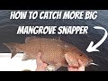 Chumming For HUGE Mangrove Snapper And FIGHTING OFF SHARKS!!