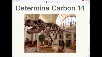 Carbon 14 dating - Exponential decay