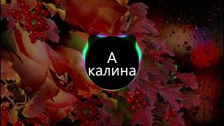 А калина не верба (BASS BOOSTED)