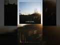 CAROUSEL - dawn