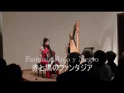 Fantasia Rojo y Negro / Kanako TAKEHANA : 竹花加奈子（曲/チェロ）赤と黒のファンタジア