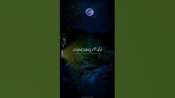 حالات واتس قران كريم  | محمد صديق المنشاوي