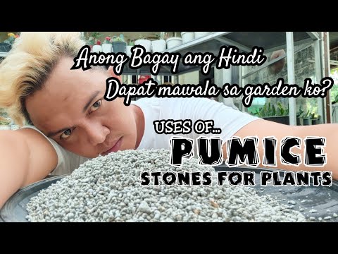 SIGNIFICANT USES OF PUMICE STONE FOR PLANTS /Unboxing of Gifts