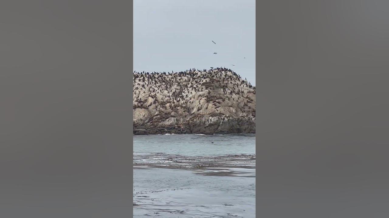 Seal Rock at Pebble Beach along California’s 17 mile drive