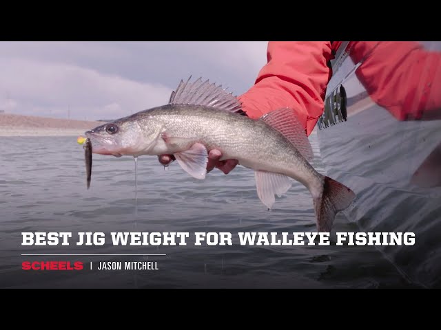 Best Jig Weight for Walleye Fishing