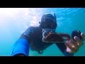 Gopro hero 4  catching a bobbit worm