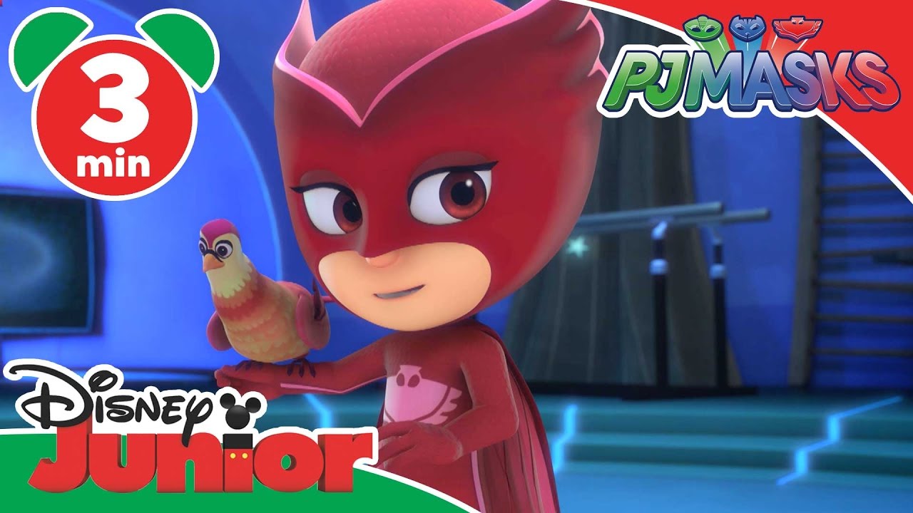 rand verwijderen Afzonderlijk PJ Masks | Owlette's Feathered Friend | Disney Junior UK - YouTube