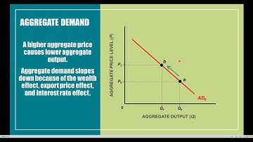ECO 2013 Macroeconomics -- Chapter 9.02: Why Does the Aggregate Demand Curve Slope Downwards?
