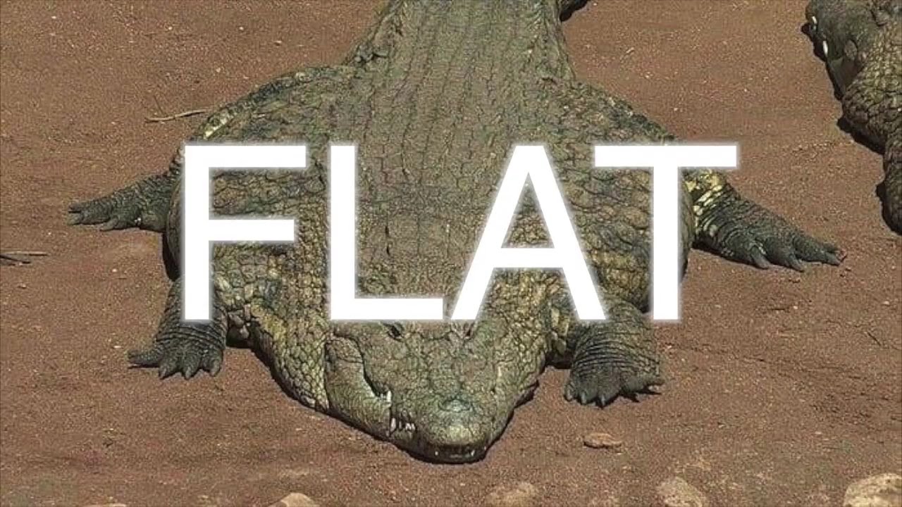 ITS FLAT FUCK FRIDAY YOU FUCKING LOSERS