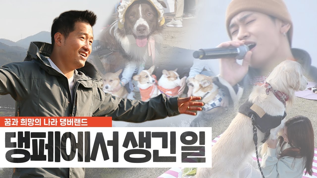 꿈과 희망의 나라 댕버랜드! 2019 댕댕이페스티벌
