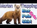 Marten Trapping Methods Fully Explained  Sets Focus on Trapping