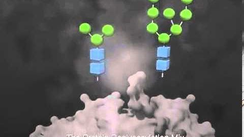 Tools for Glycoprotein Analysis