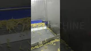 Celebrity Fluidized bed freezer quick frozen fries Wealth