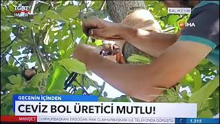 Ulusal Basında Sındırgı