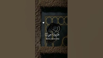 قَالَ رَبِّ اشْرَحْ لِي صَدْرِي وَيَسِّرْ لِي أَمْرِي | سورة طه شريف مصطفى