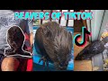 tiktoks that made me want to be a lady who rescues beavers on tiktok
