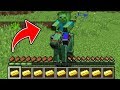 Minecraft - HOW to play ZOMBIE HORSE JOCKEY MINECRAFT in Minecraft: NOOB vs PRO Animation