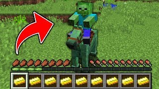 Minecraft - HOW to play ZOMBIE HORSE JOCKEY MINECRAFT in Minecraft: NOOB vs PRO Animation