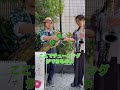 HIBI★Chazz-K2 UU &こぞりんDuo #shorts #jazz #サックス #サックスアンサンブル #サックスカルテット #吹奏楽 #saxophone #saxensemble