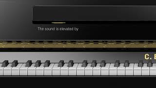 C. Bechstein Residence R 4 Classic | Piano Vertical Premium
