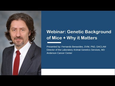 Webinar: Genetic Background of Mice and Why It Matters