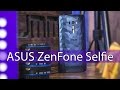 ASUS ZenFone Selfie подробный обзор. Красивый обзор красивого смартфона от FERUMM.COM