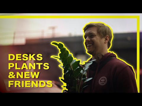 Desks, Plants & New Friends (Corridor Editor Submission)