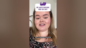 Are Water Fountains Good for Cats!? #catfacts #cathealth