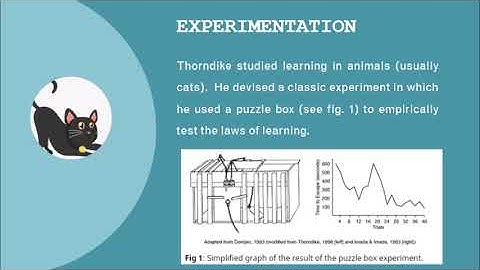 THE LAW OF EFFECT - Edward Thorndike