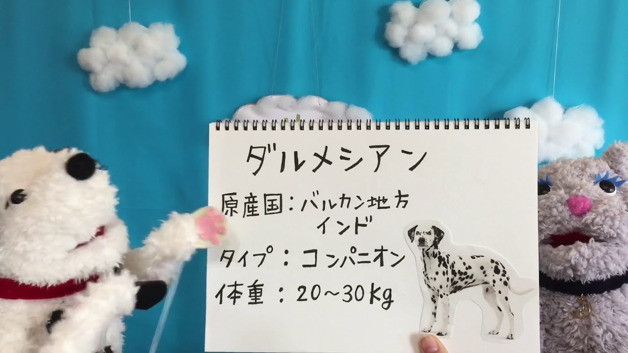 Wa Luck Channel ペッツ ライフ 第1話 自己紹介 Youtube