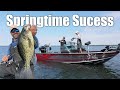 Anglingbuzz show 1 spring fishing success