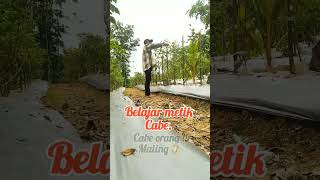 Download Lagu perkebunan #music #rap #song #funny #hiphop #music  #perkebunan MP3 Download Lagu perkebunan #music #rap #song #funny #hiphop #music  #perkebunan MP3